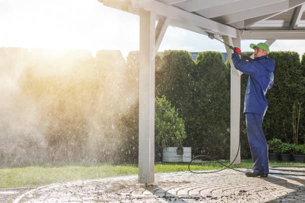 Best Soft Washing  in Putney, GA